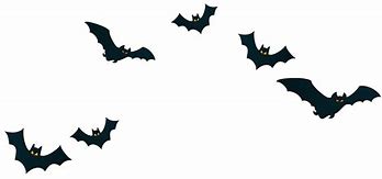 Image result for Halloween Bats No Background
