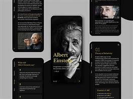 Image result for Biography Poster Layout
