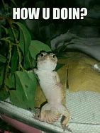 Image result for Can't Touch This Gecko Meme