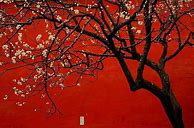 Image result for Red Chinese Aesthetic