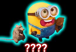 Image result for Pet Rat Minion