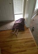 Image result for Hide and Go Seek Funny