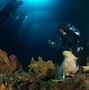 Image result for Deep Sea Sunken Ship