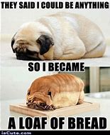 Image result for Great Job Pug Meme