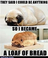 Image result for Bread Pug Meme