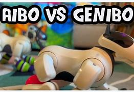 Image result for Aibo vs Genibo