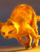 Image result for Fire Cat Wallpaper