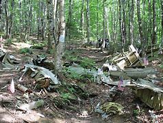 Image result for Maine Airplane Crash