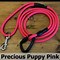Image result for Extra Strong Screw Tight Carabiner Dog Lead Clips