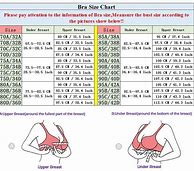 Image result for Plus Size Bra Sizes