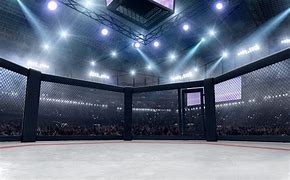 Image result for MMA Arena