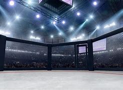 Image result for MMA Arena