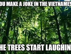 Image result for Laughs in Vietnamese Meme