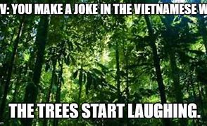 Image result for Vietnamese Meme