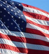 Image result for USA Flag Symbol