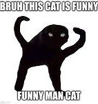 Image result for Cat Man Meme