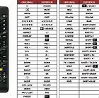 Image result for Smart Tech Remote