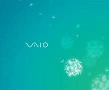 Image result for Sony Vaio F1