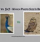 Image result for 4X6 Picture vs 5X7