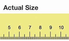 Image result for What Does 1 Centimeter Look Like