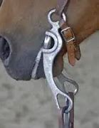 Image result for Horse Bit Types and Uses