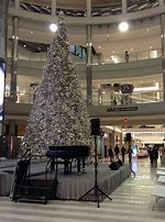 Image result for Mall of America Christmas Tree