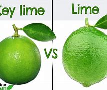 Image result for Key Limes vs Regular Limes
