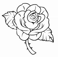 Image result for How to Draw Rose Drawing