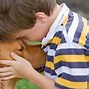 Image result for Canine Cutaneous Lymphoma