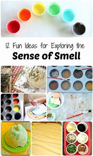 Image result for Sense of Smell Activities