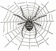Image result for Braking Spider Web Clip Art