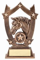 Image result for Equestrian Trophies