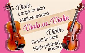 Image result for What Is Difference Between Violin and Viola