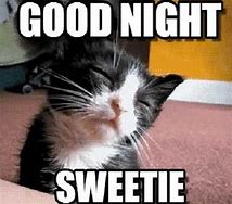 Image result for Happy Good Night Memes