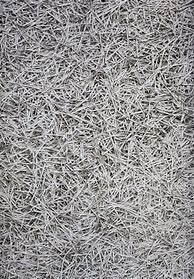 Image result for Noise Texture Seamless