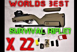 Image result for Backpack 22 Rifle