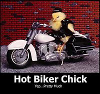 Image result for Motorcycle Blower Memes