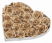 Image result for Gold Rose in Case PNG