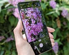 Image result for Samsung S10 Plus Camera Review