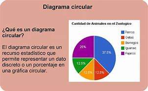 Image result for Ejemplo De Diagrama Circular