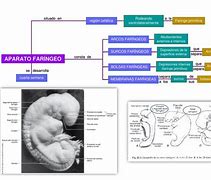Image result for far�ngeo
