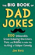 Image result for Dad Humor Books