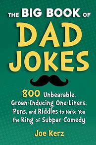 Image result for Single Dad Jokes Book