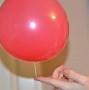 Image result for Easy Science Magic Tricks