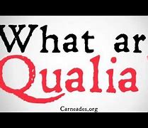 Image result for Qualia Definition