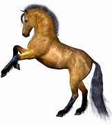 Image result for Racing Horse Photo No Background