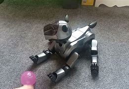 Image result for Aibo 210 Playing
