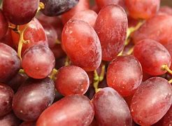 Image result for Red Grapes Are Healthy