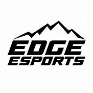 Image result for Bleed eSports