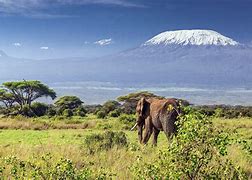 Image result for Kenya Safari Aerial View